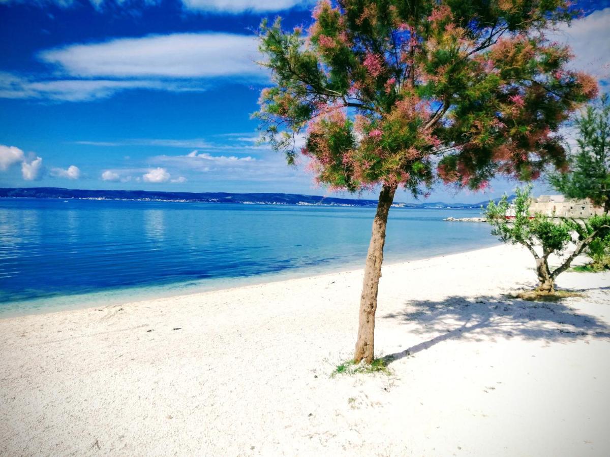 Apartman Lavender Kastela Dış mekan fotoğraf